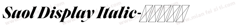 Saol Display Italic字体转换